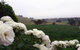 A Way To Relax At Welcome Springs Country Stays - thumb 8